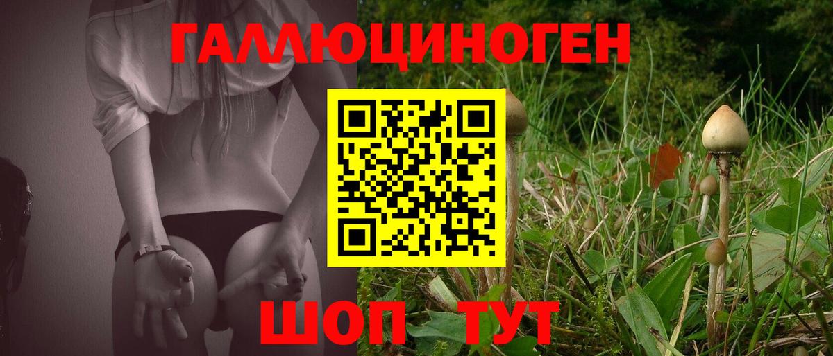 Галлюциногенные грибы Psilocybine cubensis Менделеевск