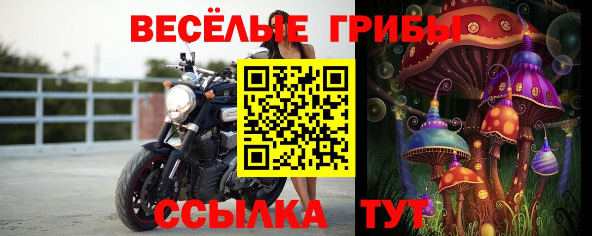 Магазины продажи наркотиков  Менделеевск  COCAIN  МЕФ кристаллы  Вход с VPN  Канабис  Экстази 